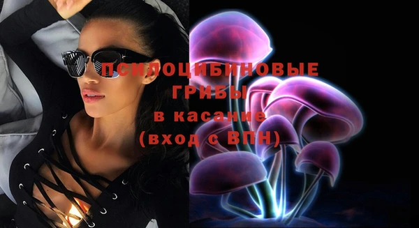 гидропоника Новозыбков