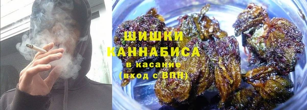 гидропоника Новозыбков