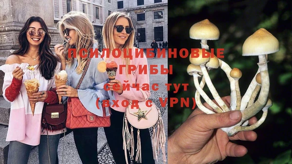 гидропоника Новозыбков