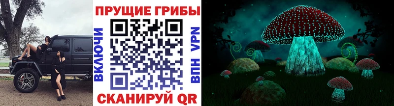 Галлюциногенные грибы Psilocybine cubensis  Купить где  Анапа 